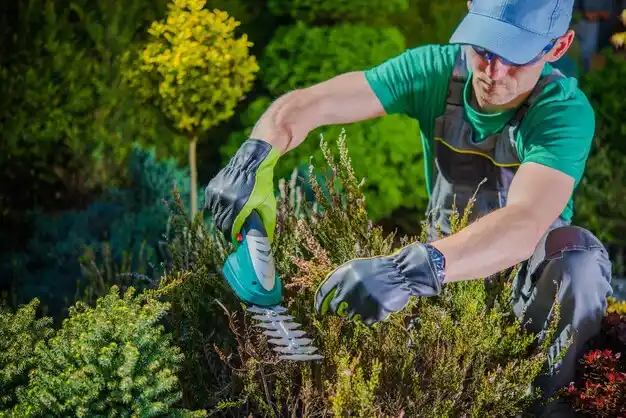 landscaping services Fremont